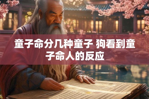 童子命分几种童子 狗看到童子命人的反应 童子命分几种童子 狗看到童子命人的反应