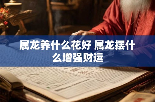 属龙养什么花好 属龙摆什么增强财运