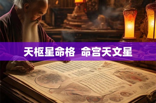 天枢星命格  命宫天文星