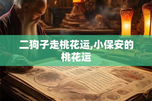 二狗子走桃花运,小保安的桃花运