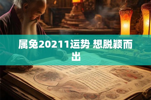 属兔20211运势 想脱颖而出 属兔20211运势 想脱颖而出