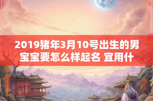 2019猪年3月10号出生的男宝宝要怎么样起名 宜用什么字