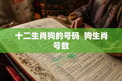 十二生肖狗的号码  狗生肖号数