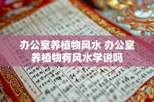办公室养植物风水 办公室养植物有风水学说吗