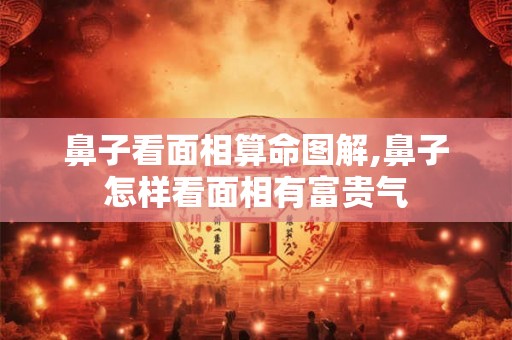 鼻子看面相算命图解,鼻子怎样看面相有富贵气