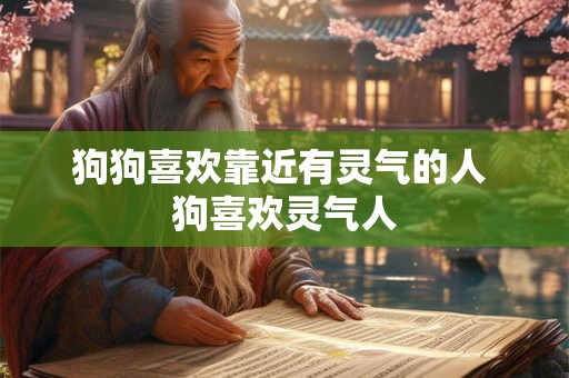 狗狗喜欢靠近有灵气的人 狗喜欢灵气人