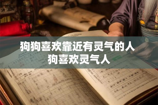 狗狗喜欢靠近有灵气的人 狗喜欢灵气人