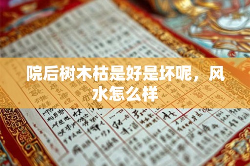 院后树木枯是好是坏呢，风水怎么样