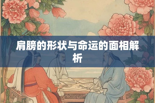 肩膀的形状与命运的面相解析
