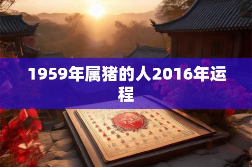 1959年属猪的人2016年运程