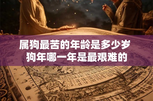 属狗最苦的年龄是多少岁 狗年哪一年是最艰难的