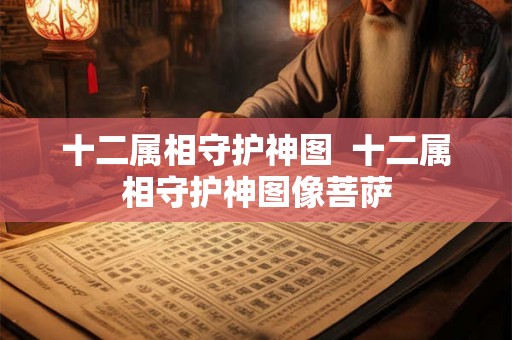 十二属相守护神图 十二属相守护神图像菩萨 十二属相守护神图 十二属相守护神图像菩萨