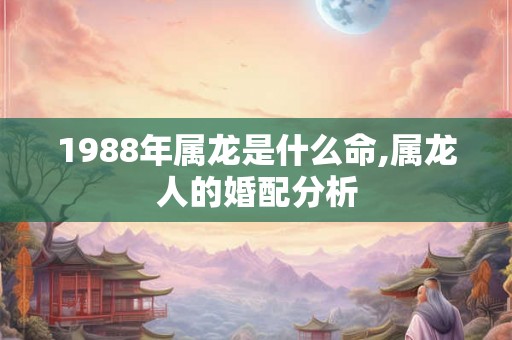 1988年属龙是什么命,属龙人的婚配分析