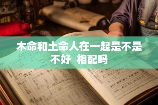 木命和土命人在一起是不是不好  相配吗