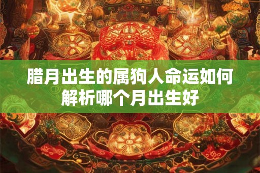 腊月出生的属狗人命运如何解析哪个月出生好