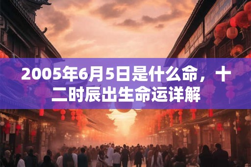 2005年6月5日是什么命，十二时辰出生命运详解