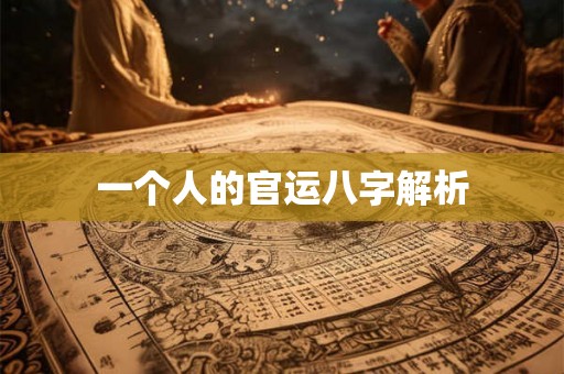 一个人的官运八字解析