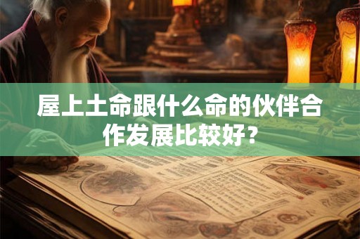 屋上土命跟什么命的伙伴合作发展比较好？
