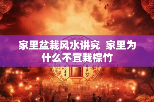 家里盆栽风水讲究 家里为什么不宜栽棕竹 家里盆栽风水讲究 家里为什么不宜栽棕竹