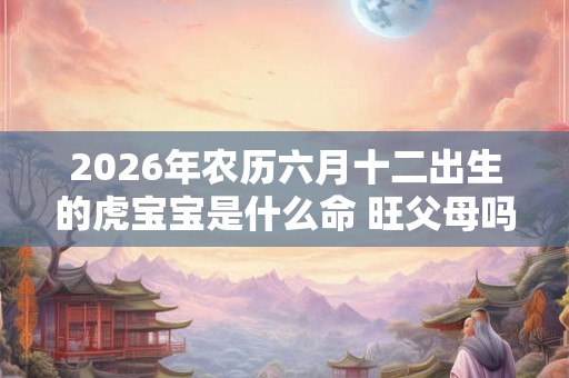 2026年农历六月十二出生的虎宝宝是什么命 旺父母吗