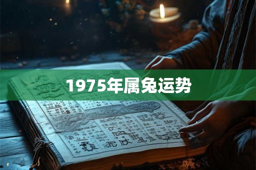 1975年属兔运势