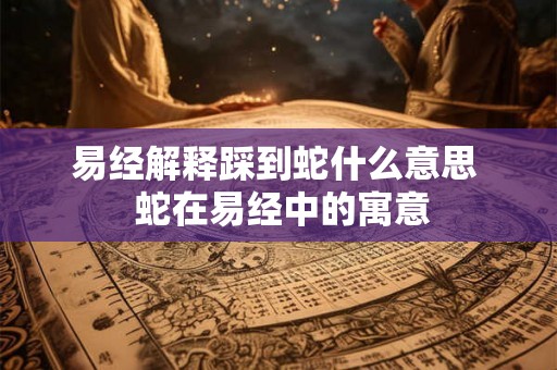 易经解释踩到蛇什么意思 蛇在易经中的寓意 易经解释踩到蛇什么意思 蛇在易经中的寓意
