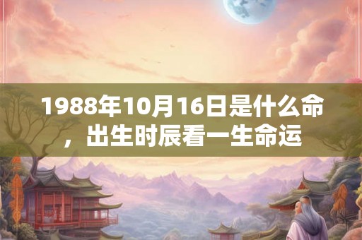 1988年10月16日是什么命，出生时辰看一生命运
