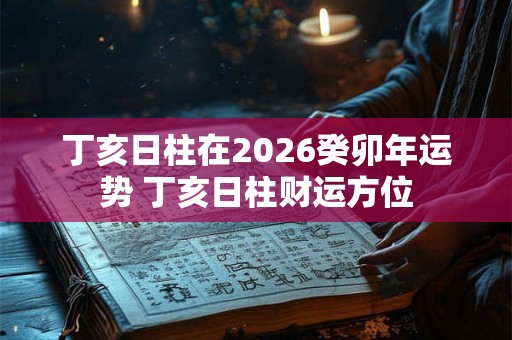 丁亥日柱在2026癸卯年运势 丁亥日柱财运方位