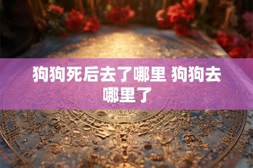 狗狗死后去了哪里 狗狗去哪里了