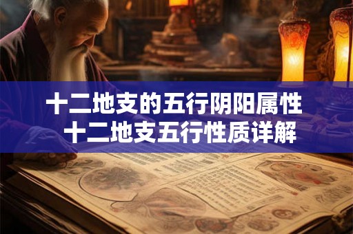 十二地支的五行阴阳属性  十二地支五行性质详解
