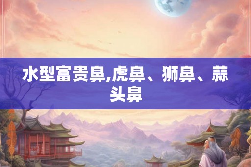 水型富贵鼻,虎鼻、狮鼻、蒜头鼻