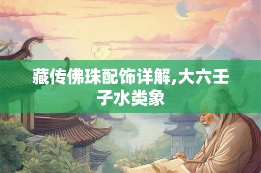 藏传佛珠配饰详解,大六壬子水类象