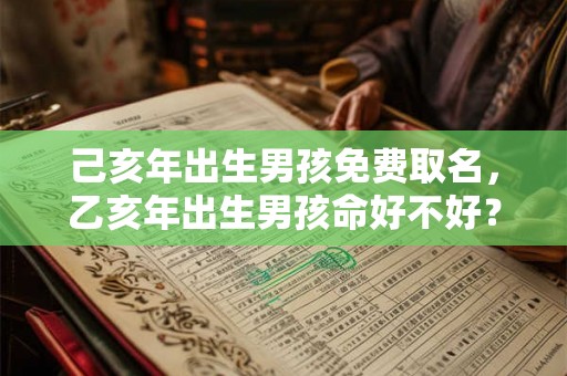 己亥年出生男孩免费取名，乙亥年出生男孩命好不好？