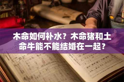 木命如何补水？木命猪和土命牛能不能结婚在一起？