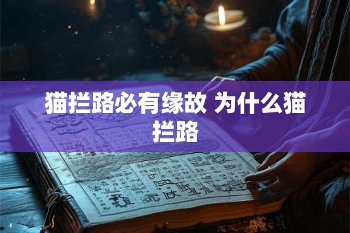 猫拦路必有缘故 为什么猫拦路 猫拦路必有缘故 为什么猫拦路