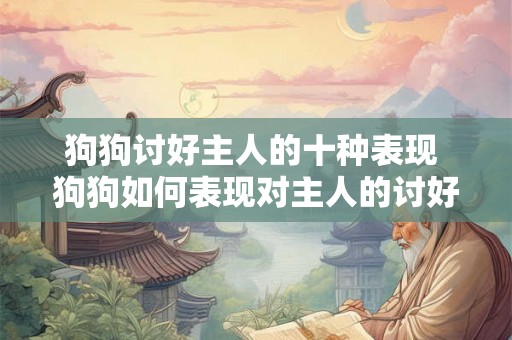 狗狗讨好主人的十种表现 狗狗如何表现对主人的讨好之心