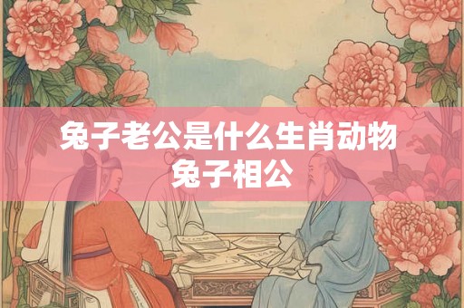 兔子老公是什么生肖动物 兔子相公