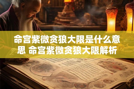 命宫紫微贪狼大限是什么意思 命宫紫微贪狼大限解析 命宫紫微贪狼大限是什么意思 命宫紫微贪狼大限解析