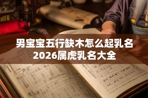男宝宝五行缺木怎么起乳名2026属虎乳名大全