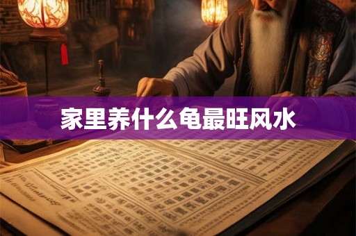 家里养什么龟最旺风水
