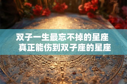 双子一生最忘不掉的星座  真正能伤到双子座的星座