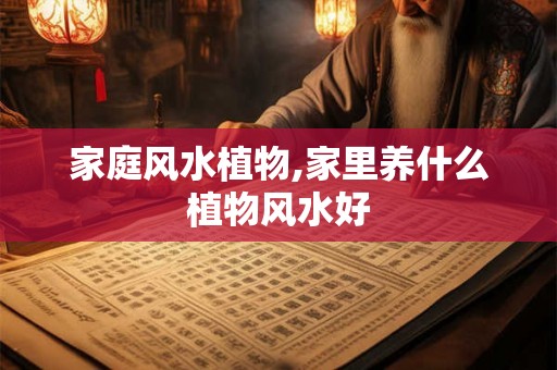 家庭风水植物,家里养什么植物风水好