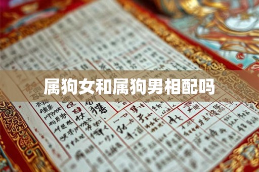 属狗女和属狗男相配吗 属狗女和属狗男相配吗