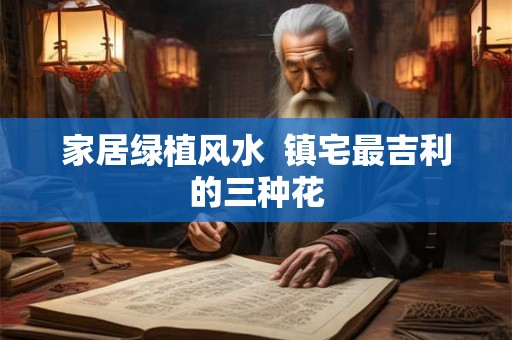 家居绿植风水  镇宅最吉利的三种花