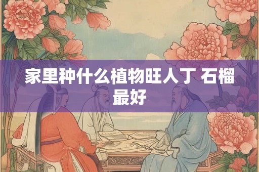 家里种什么植物旺人丁 石榴最好