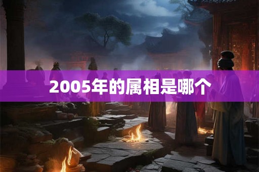 2005年的属相是哪个 2005年的属相是哪个