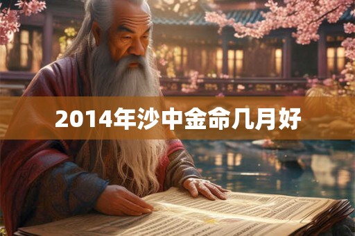 2014年沙中金命几月好