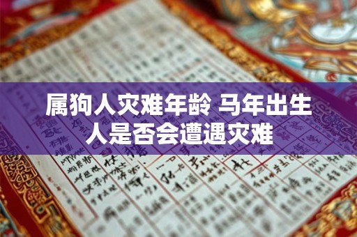 属狗人灾难年龄 马年出生人是否会遭遇灾难