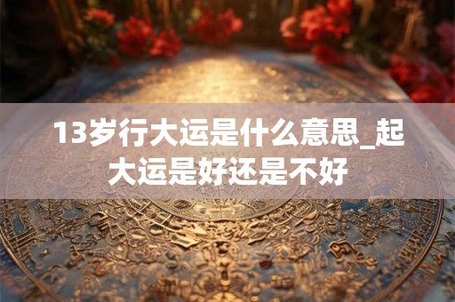 13岁行大运是什么意思_起大运是好还是不好