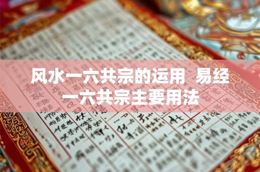 风水一六共宗的运用  易经一六共宗主要用法
